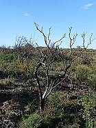 Jour4: Llana-Port-Selva - 