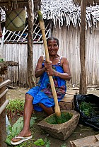 Île Sainte-Marie, Ambodifototra -  