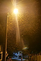 Île Sainte-Marie, Ambodifototra -  