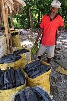 Île Sainte-Marie, cte Est - 	