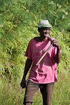 Île Sainte-Marie, au Nord dAmbodifototra -  