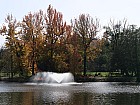 Bordeaux, parc de Bourran - Liquidambars, rouges à l'automne