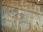 Persépolis - Lion attaquant un taureau