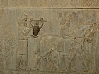 Persépolis - Armniens et cheval