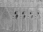 Persépolis - Gardes du corps du roi - l'arme des immortels