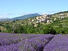 Haute Provence - Aurel