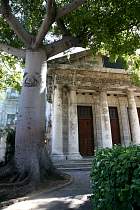 La Havane - Templete, 1828, kapokier