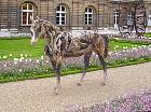 Jardin du Luxembourg - Cheval, Heather Jansch