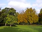 Parc Monceau (Paris) - Magnolias, noyers d'Amrique
