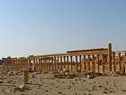 Palmyre - Grande colonnade