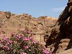 Petra 1 - 