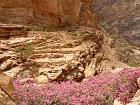 Petra 2 - Wadi Siyagh