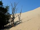 La dune de Pyla - 