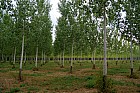 d�Angoul�me � Cognac - 