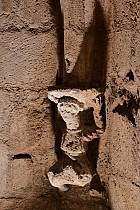 d�Angoul�me � Cognac - �glise Saint-Pierre, Jarnac