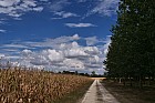 de Cognac � Rochefort - 