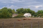 de Cognac � Rochefort - 