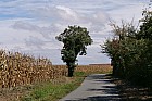 de Cognac � Rochefort - 