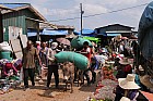 Addis-Abeba - Le march�