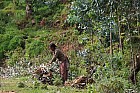 Addis-Abeba - 