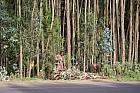 Addis-Abeba - 