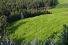 Addis-Abeba - 