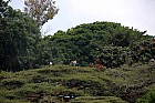 Lac Hora � Awasa - Lac Hora