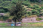 Lac Hora � Awasa - Lac Hora