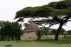 Lac Hora � Awasa - 