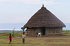 Lac Hora � Awasa - 