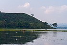 Lac Hora � Awasa - Lac d?Awasa