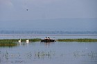Lac Hora � Awasa - Lac d?Awasa