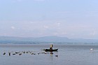 Lac Hora � Awasa - Lac d?Awasa