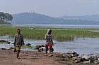 Lac Hora � Awasa - Lac d?Awasa