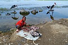 Lac Hora � Awasa - 