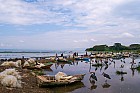 Lac Hora � Awasa - March� aux poissons