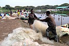 Lac Hora � Awasa - March� aux poissons