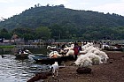 Lac Hora � Awasa - March� aux poissons