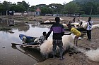 Lac Hora � Awasa - March� aux poissons
