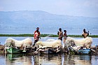 Lac Hora � Awasa - March� aux poissons