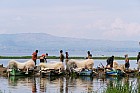 Lac Hora � Awasa - March� aux poissons