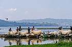 Lac Hora � Awasa - March� aux poissons