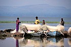Lac Hora � Awasa - March� aux poissons