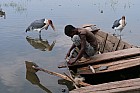 Lac Hora � Awasa - March� aux poissons