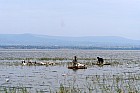 Lac Hora � Awasa - 