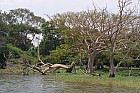 Lac Hora � Awasa - 