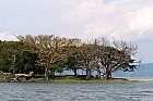 Lac Hora � Awasa - 