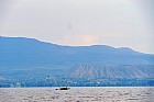 Lac Hora � Awasa - 