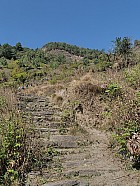 trekking de Syabru (1450 m ) à Gatlang (2300 m), 6h de marche y compris pause déjeuner - Dénivelée de 800 mètres en 2h