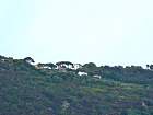 croisière de Portovenere à Monterosso - Campiglia
